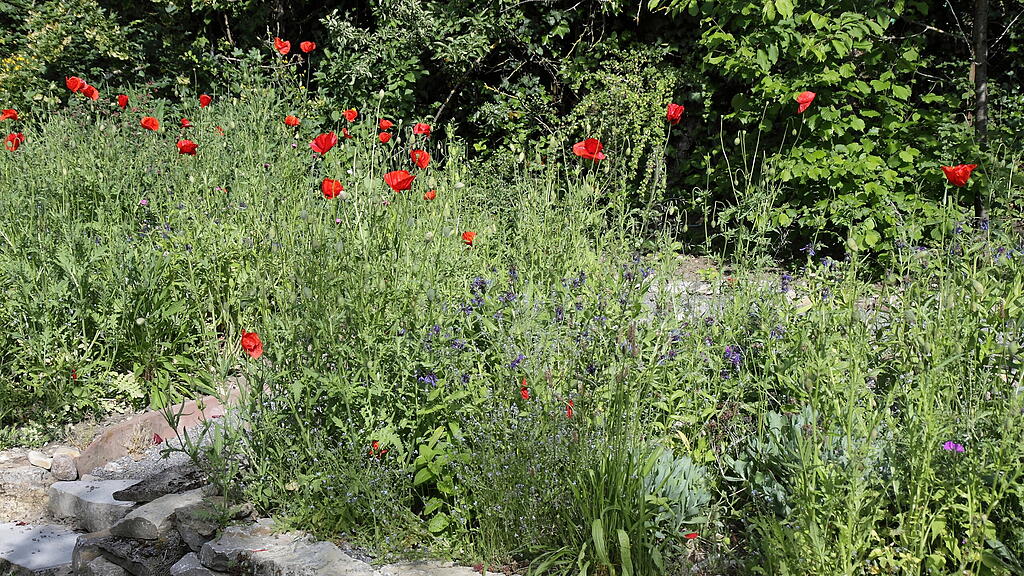 Naturgarten in W&uuml;rzburg